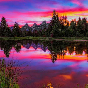 Meet your Posher, Rubyy